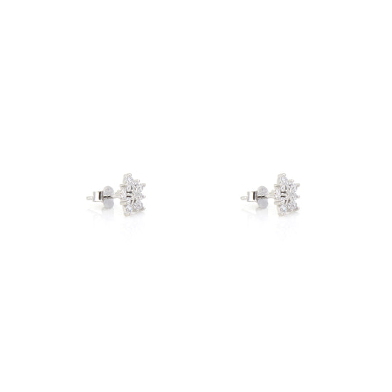 Silver earring for women